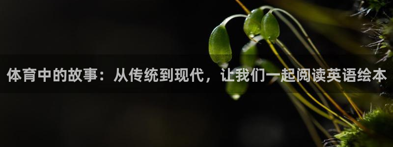 体育中的故事：从传统到现代，让我们一起阅读英语绘本