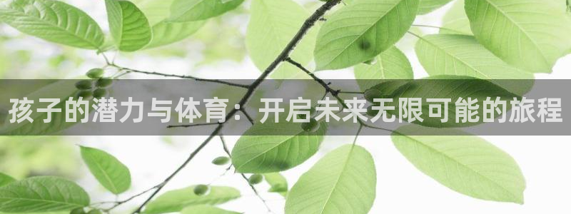 孩子的潜力与体育：开启未来无限可能的旅程