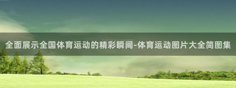 全面展示全国体育运动的精彩瞬间-体育运动图片大全简图集