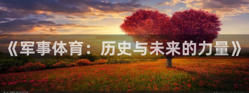 《军事体育：历史与未来的力量》